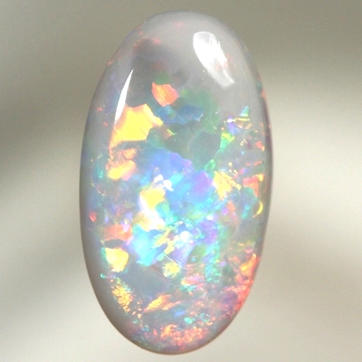 SOLID SEMI BLACK OPAL Floral Harlequin pattern